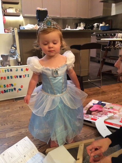 We had spent the day watching Cinderella. When she got this dress, I thought she would pass out.